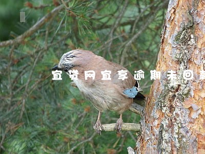 宜贷网宜享逾期未回款 宜贷网宜享逾期未回款
