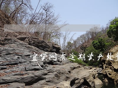宜贷网有逾期资产处置回收的吗 宜贷网有逾期资产处置回收的吗