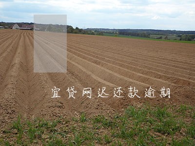 宜贷网迟还款逾期 宜贷网迟还款逾期