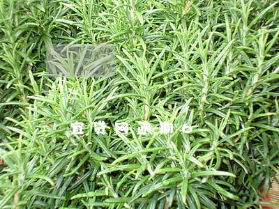 宜贷网逾期6 宜贷网逾期6