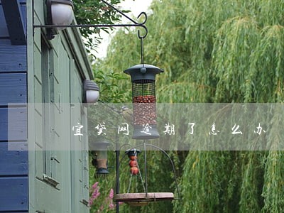 宜贷网逾期了怎么办 宜贷网逾期了怎么办