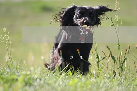 宜贷网逾期保障6 宜贷网逾期保障6