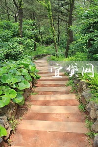宜贷网逾期垫付 宜贷网逾期垫付