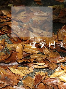 宜贷网逾期太多怎么办 宜贷网逾期太多怎么办