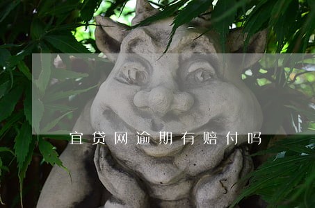 宜贷网逾期有赔付吗 宜贷网逾期有赔付吗