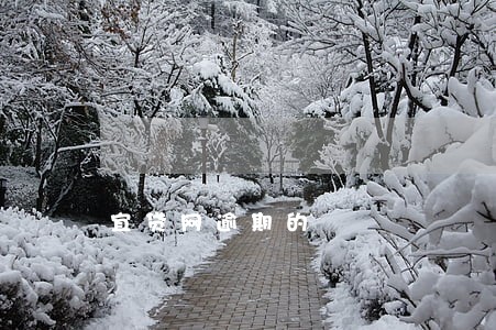 宜贷网逾期的 宜贷网逾期的