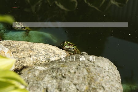 宜贷网项目逾期 宜贷网项目逾期