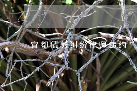 宜都债务纠纷律师违约 宜都债务纠纷律师违约