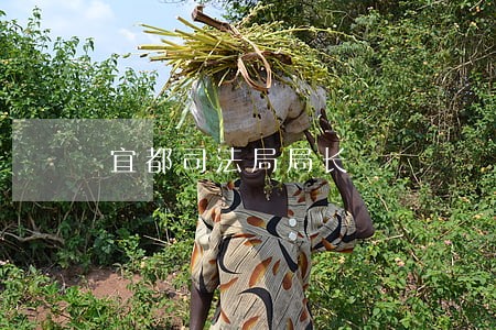 宜都司法局局长
