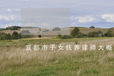 宜都市子女抚养律师大概多少钱 宜都市子女抚养律师大概多少钱