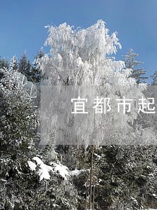 宜都市起诉离婚律师费用标准 宜都市起诉离婚律师费用标准