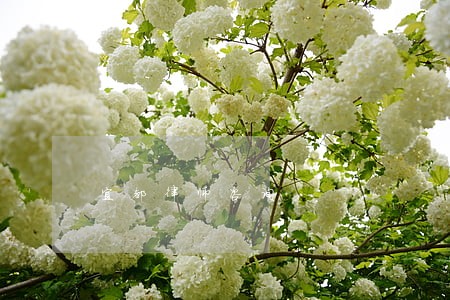 宜都律师咨询 宜都律师咨询
