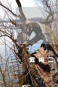 宜阳二手房出售 宜阳二手房出售