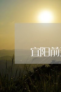 宜阳前进厂案件 宜阳前进厂案件