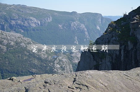 宝丰发投定融逾期 宝丰发投定融逾期
