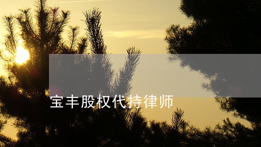宝丰股权代持律师