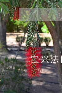 宝兴法院执行庭 宝兴法院执行庭