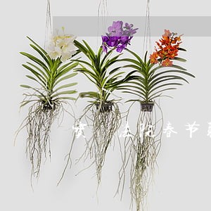 宝坁法院春节联欢会 宝坁法院春节联欢会