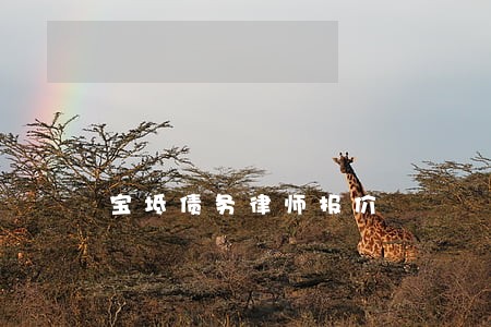 宝坻债务律师报价