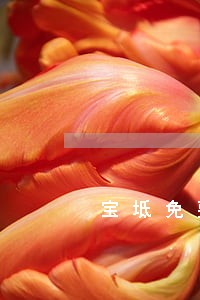 宝坻免费律师咨询 宝坻免费律师咨询