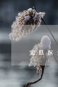 宝坻区企业二级法律顾问 宝坻区企业二级法律顾问