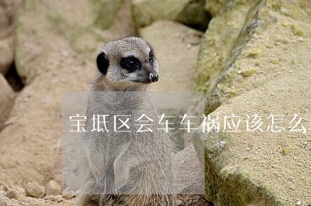 宝坻区会车车祸应该怎么诉讼 宝坻区会车车祸应该怎么诉讼