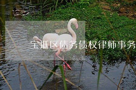 宝坻区债务债权律师事务所 宝坻区债务债权律师事务所