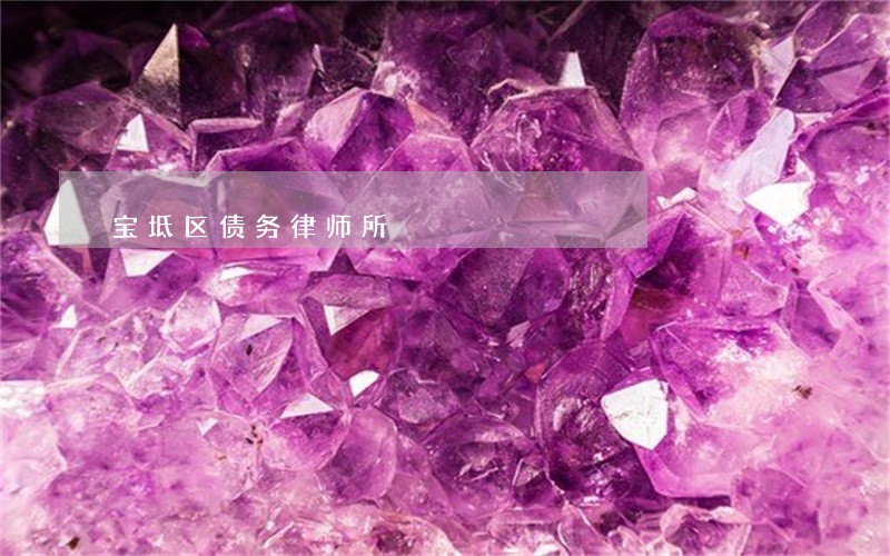 宝坻区债务律师所 宝坻区债务律师所