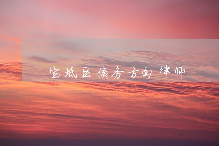 宝坻区债务方面律师 宝坻区债务方面律师