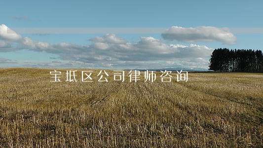 宝坻区公司律师咨询 宝坻区公司律师咨询