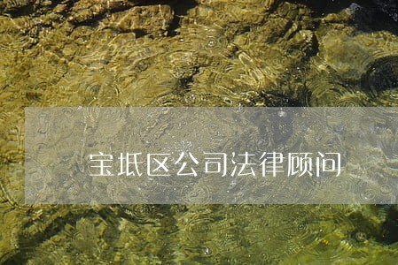 宝坻区公司法律顾问 宝坻区公司法律顾问
