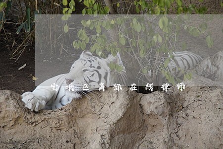 宝坻区商标在线律师