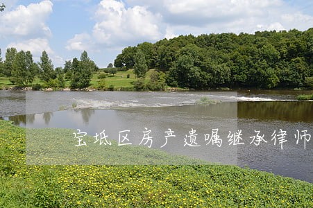 宝坻区房产遗嘱继承律师 宝坻区房产遗嘱继承律师