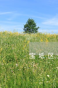 宝坻区法律顾问律师 宝坻区法律顾问律师
