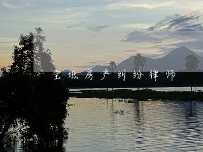 宝坻房产纠纷律师 宝坻房产纠纷律师