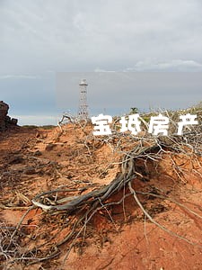 宝坻房产继承遗嘱律师 宝坻房产继承遗嘱律师