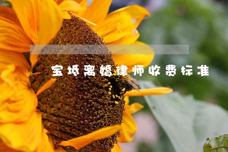 宝坻离婚律师收费标准