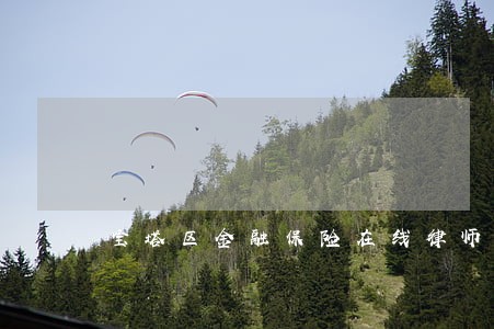 宝塔区金融保险在线律师 宝塔区金融保险在线律师