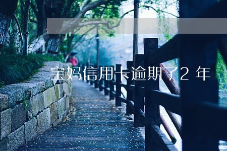宝妈信用卡逾期了2年 宝妈信用卡逾期了2年