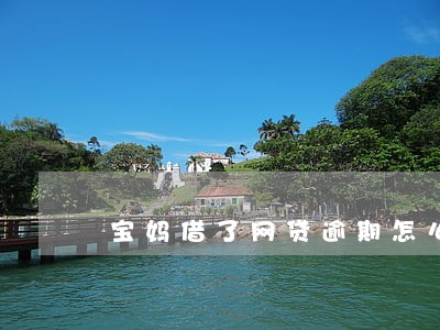 宝妈借了网贷逾期怎么办