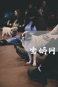 宝妈网贷逾期