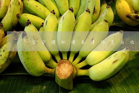 宝安债权债务律师怎么收费 宝安债权债务律师怎么收费