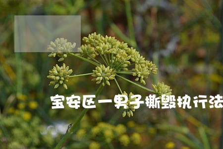 宝安区一男子撕毁执行法律文书
