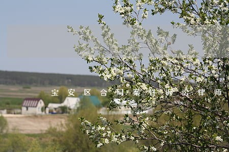宝安区合同案件诉讼律师热线 宝安区合同案件诉讼律师热线