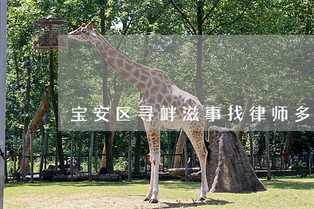 宝安区寻衅滋事找律师多少钱 宝安区寻衅滋事找律师多少钱