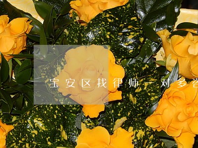 宝安区找律师一对多咨询 宝安区找律师一对多咨询