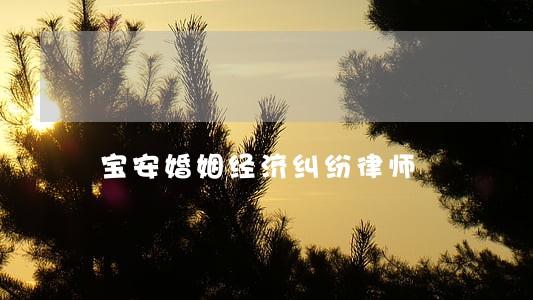宝安婚姻经济纠纷律师 宝安婚姻经济纠纷律师