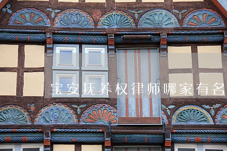 宝安抚养权律师哪家有名 宝安抚养权律师哪家有名
