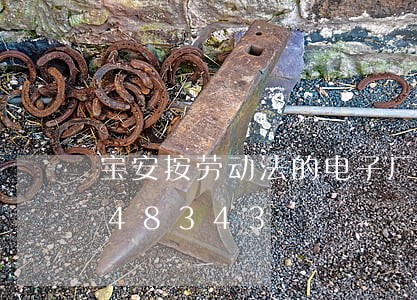 宝安按劳动法的电子厂/2023021048343 宝安按劳动法的电子厂/2023021048343