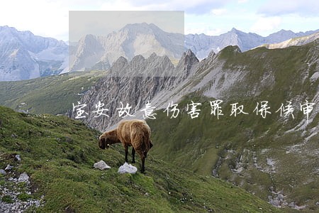 宝安故意伤害罪取保候审律师 宝安故意伤害罪取保候审律师